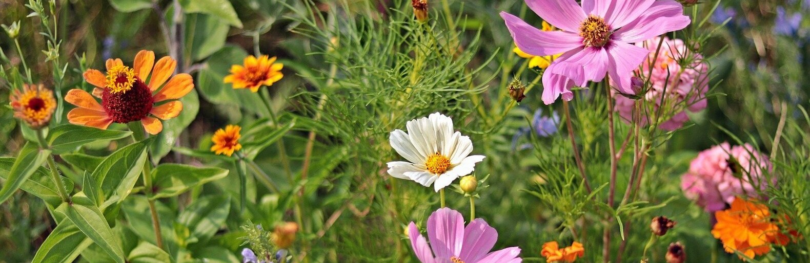 ����: inalmaty.kz