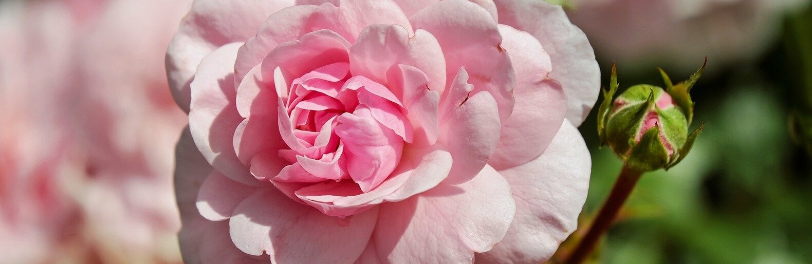 ����: inalmaty.kz