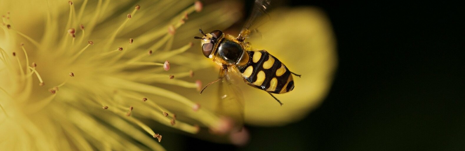 ����: inalmaty.kz