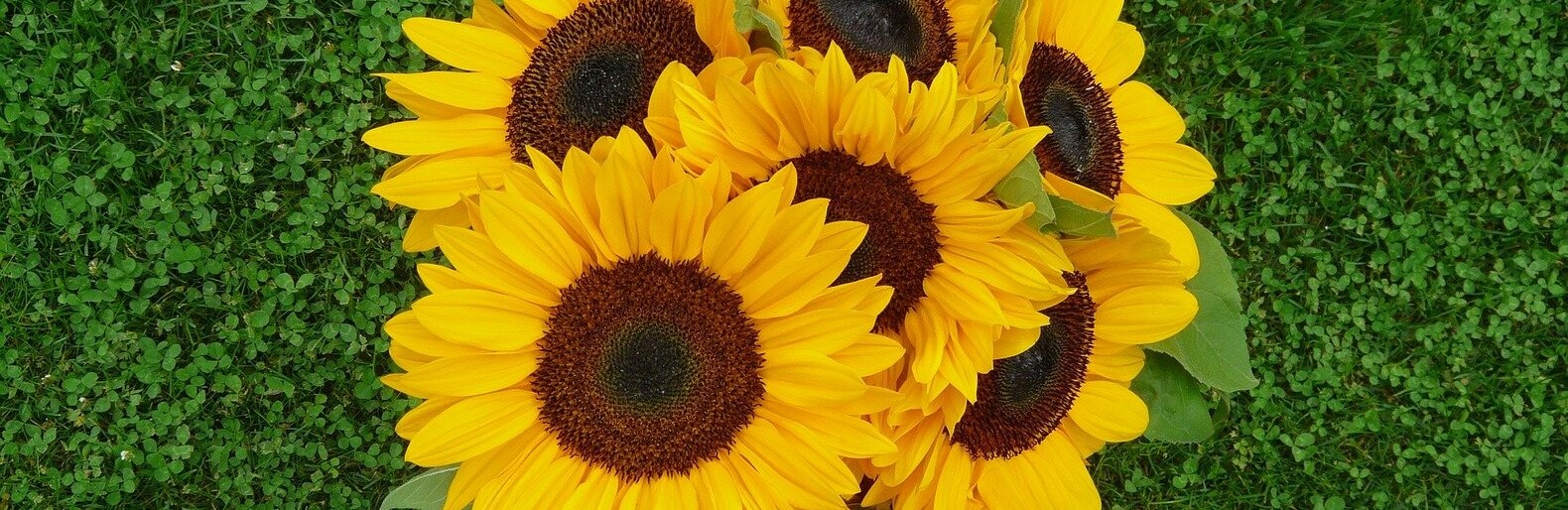 ����: inalmaty.kz