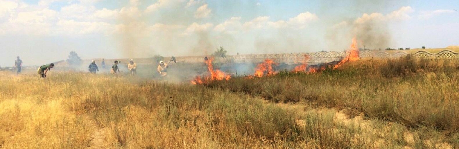 ����: inalmaty.kz