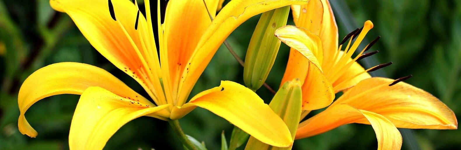 ����: inalmaty.kz