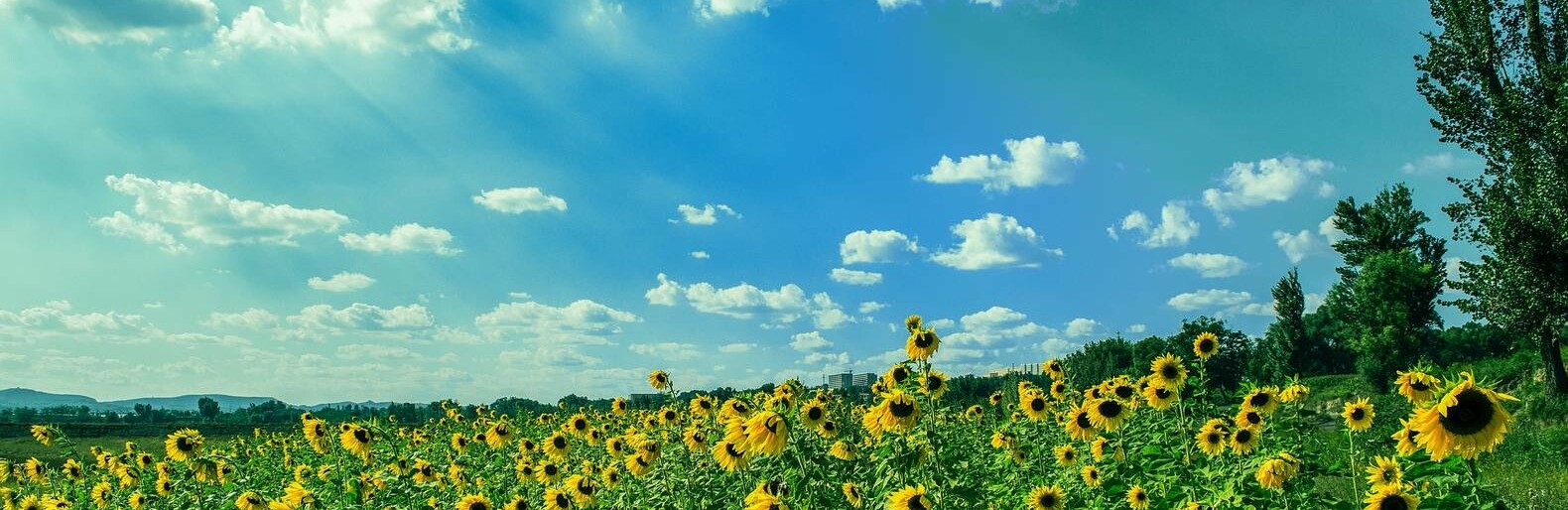 ����: inalmaty.kz