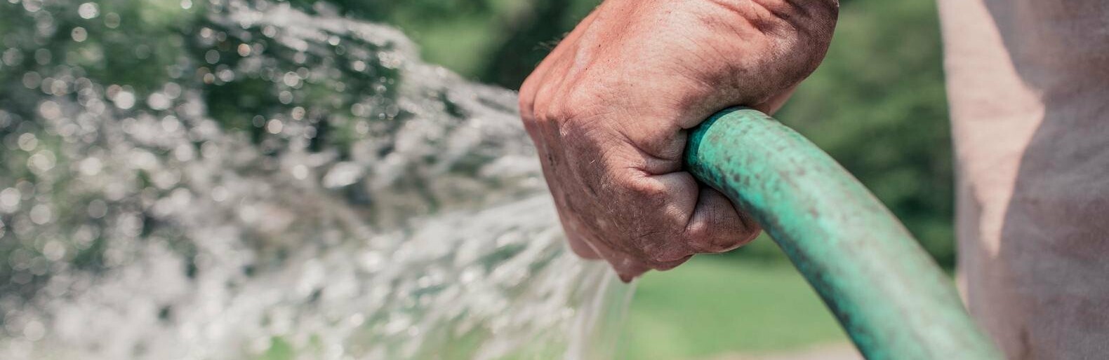 ����: inalmaty.kz