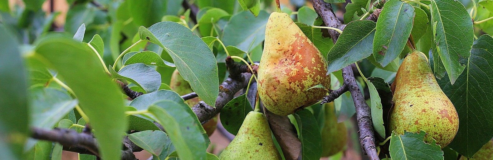 ����: inalmaty.kz