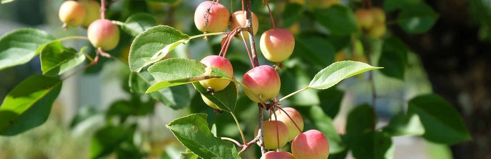 ����: inalmaty.kz