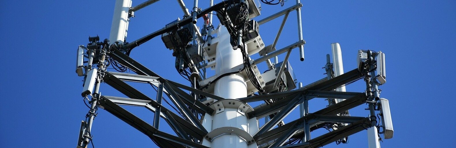 ����: inalmaty.kz