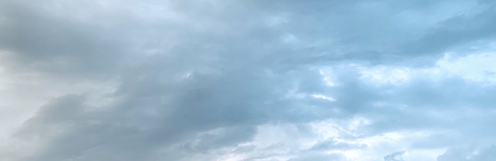 ����: inalmaty.kz