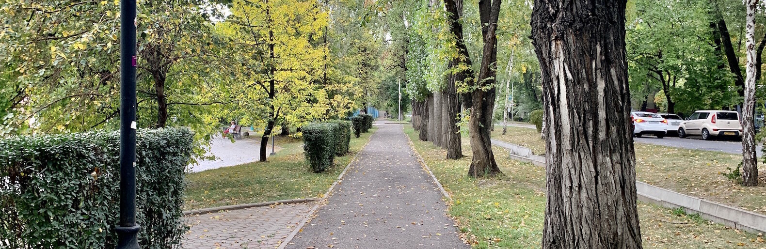 ����: inalmaty.kz