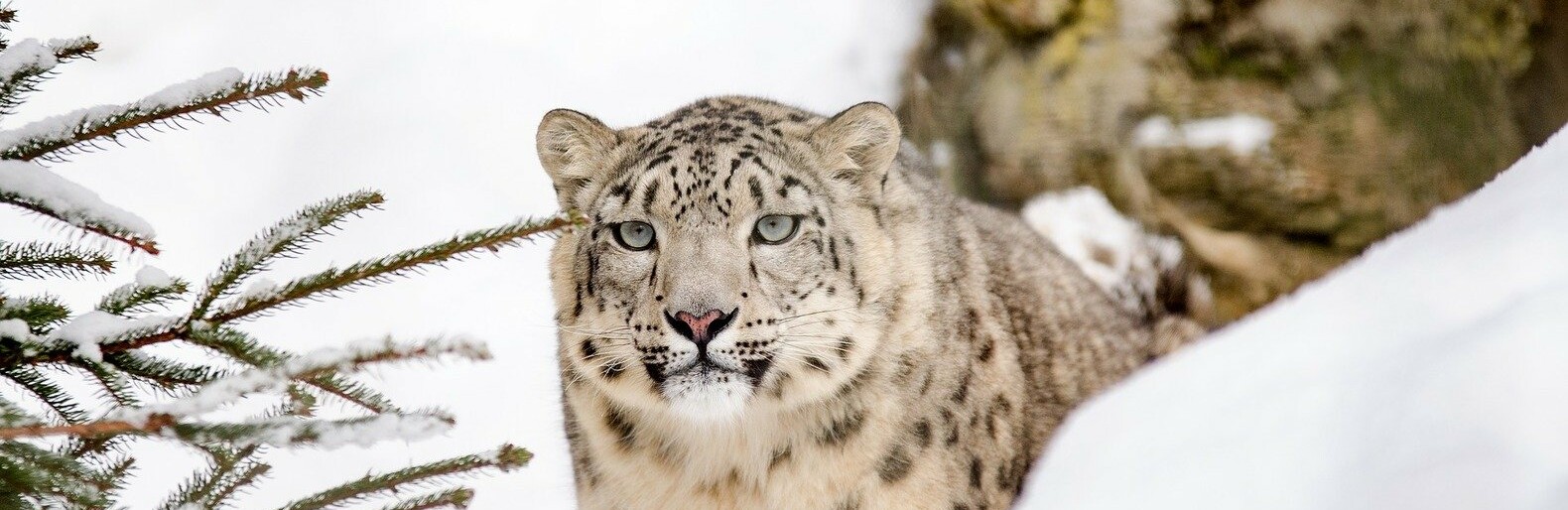 ����: inalmaty.kz