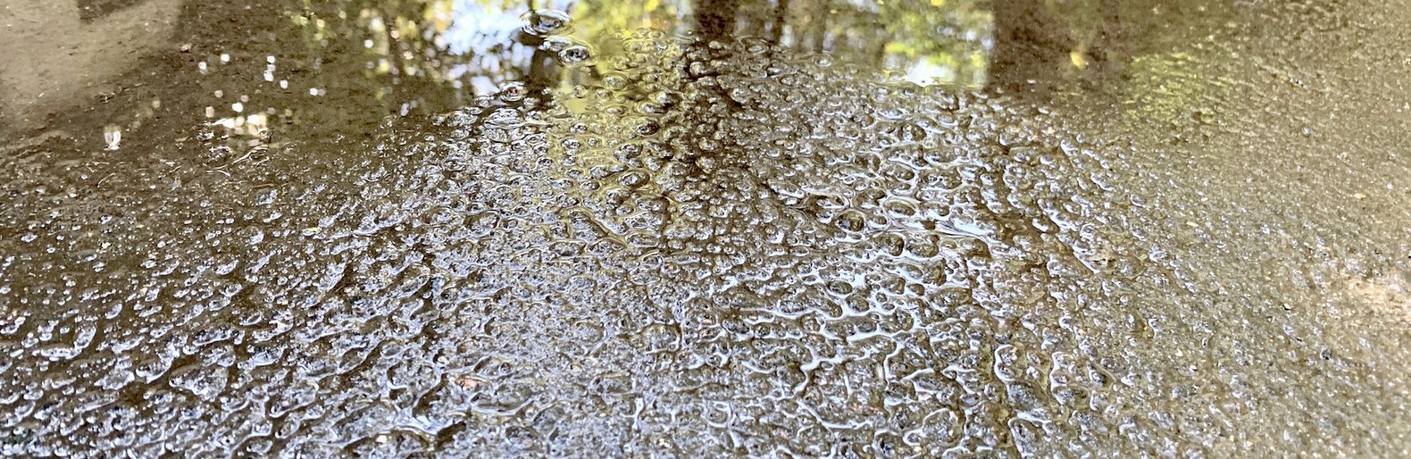 ����: inalmaty.kz