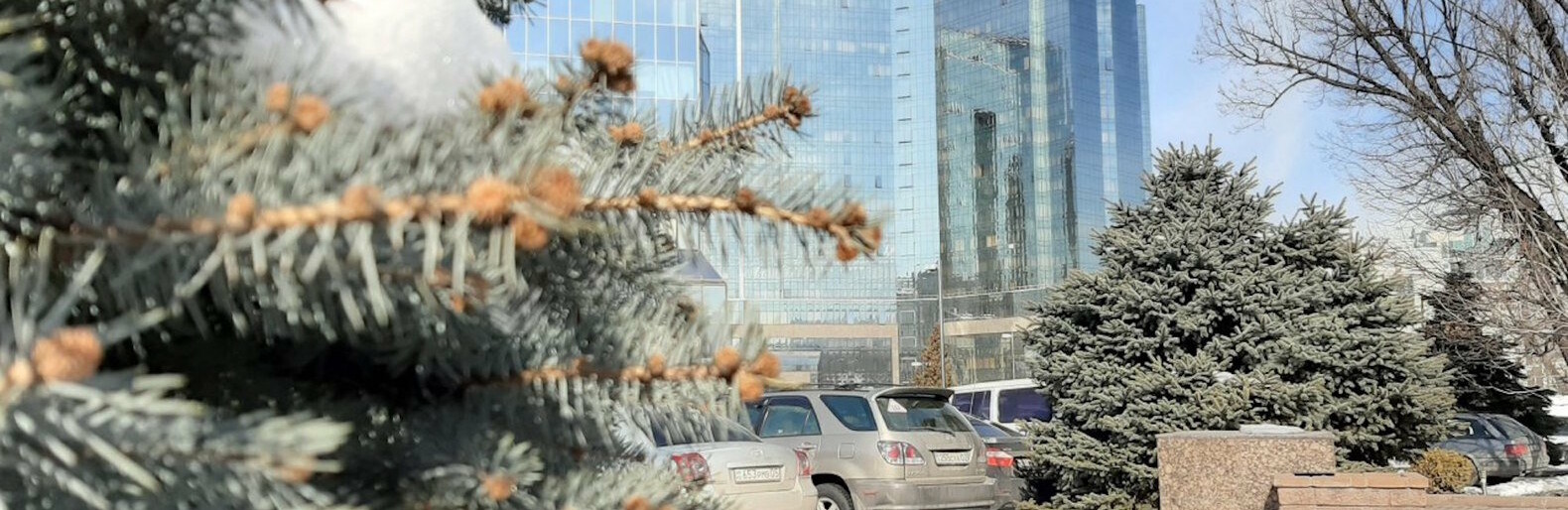 ����: inalmaty.kz