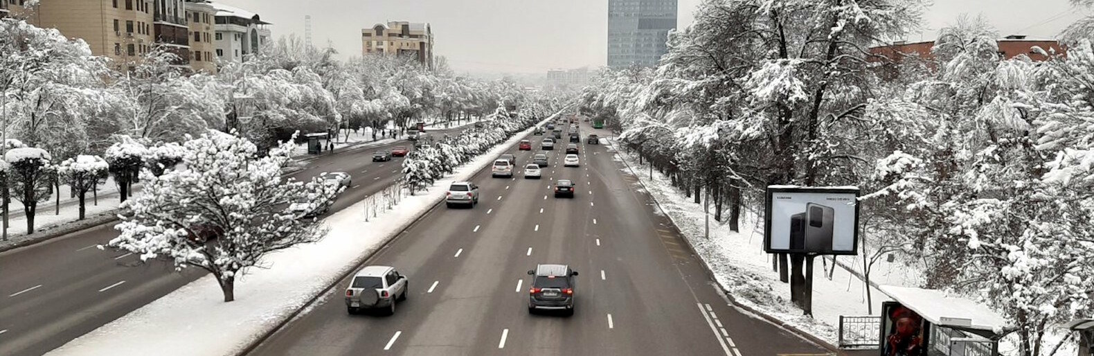 ����: inalmaty.kz