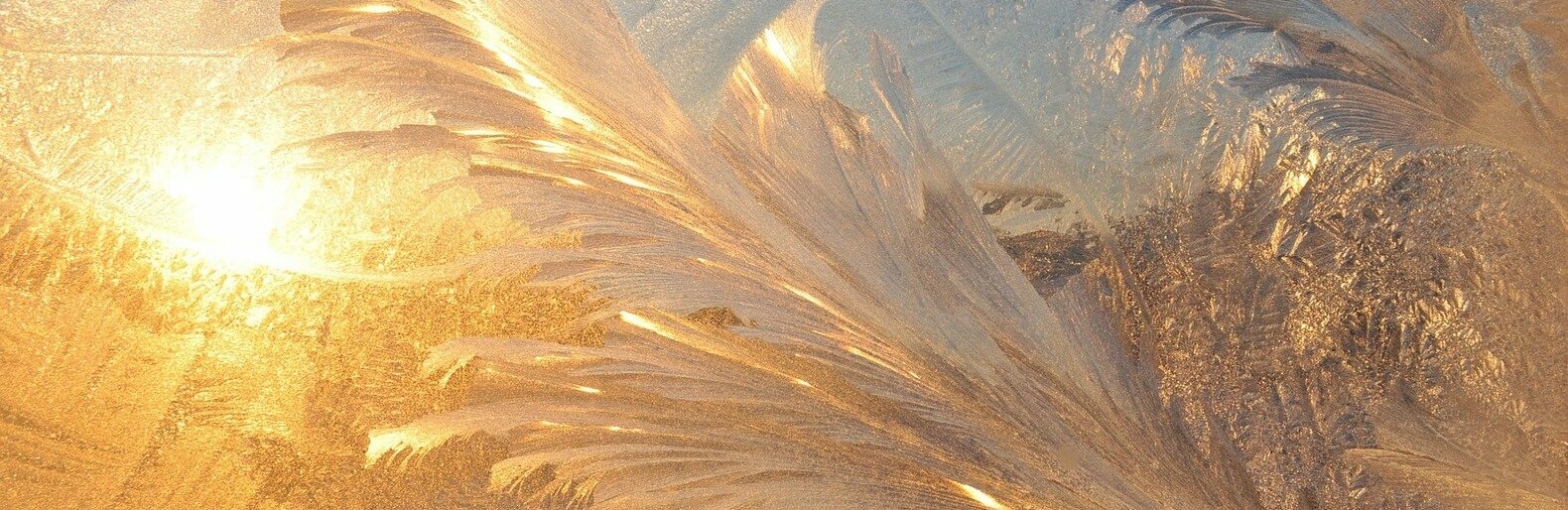 ����: inalmaty.kz