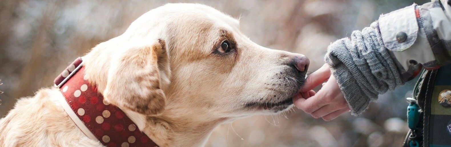 ����: inalmaty.kz