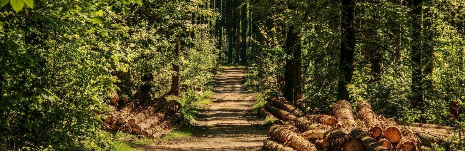  ������� ���� ����������� ������� ����� �������� ������������� ������ 