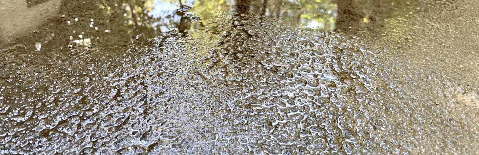  ������ �������� ���������� ���������� ����� ������� ������������ �������� 