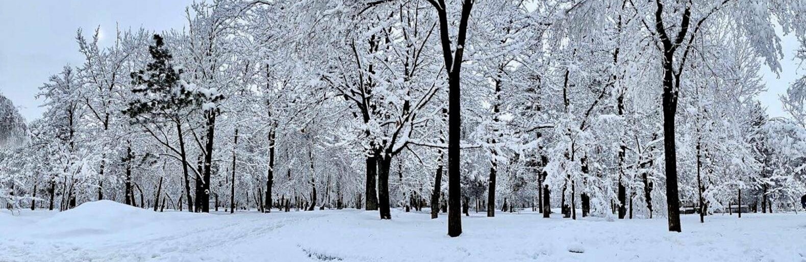 ����: inalmaty.kz