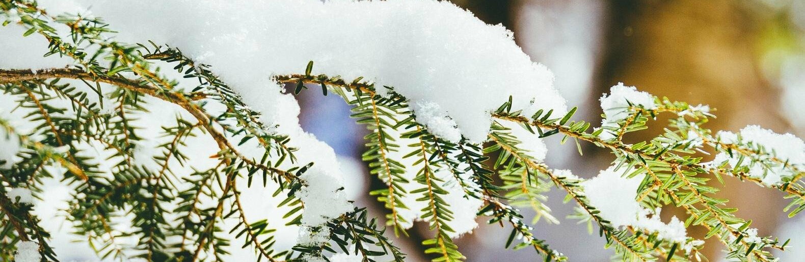 ����: inalmaty.kz