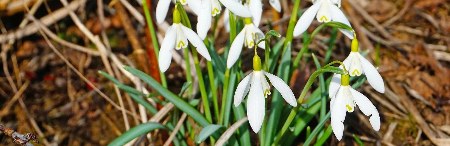 ����: inalmaty.kz