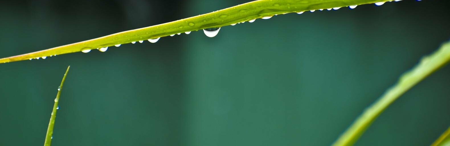 ����: inalmaty.kz