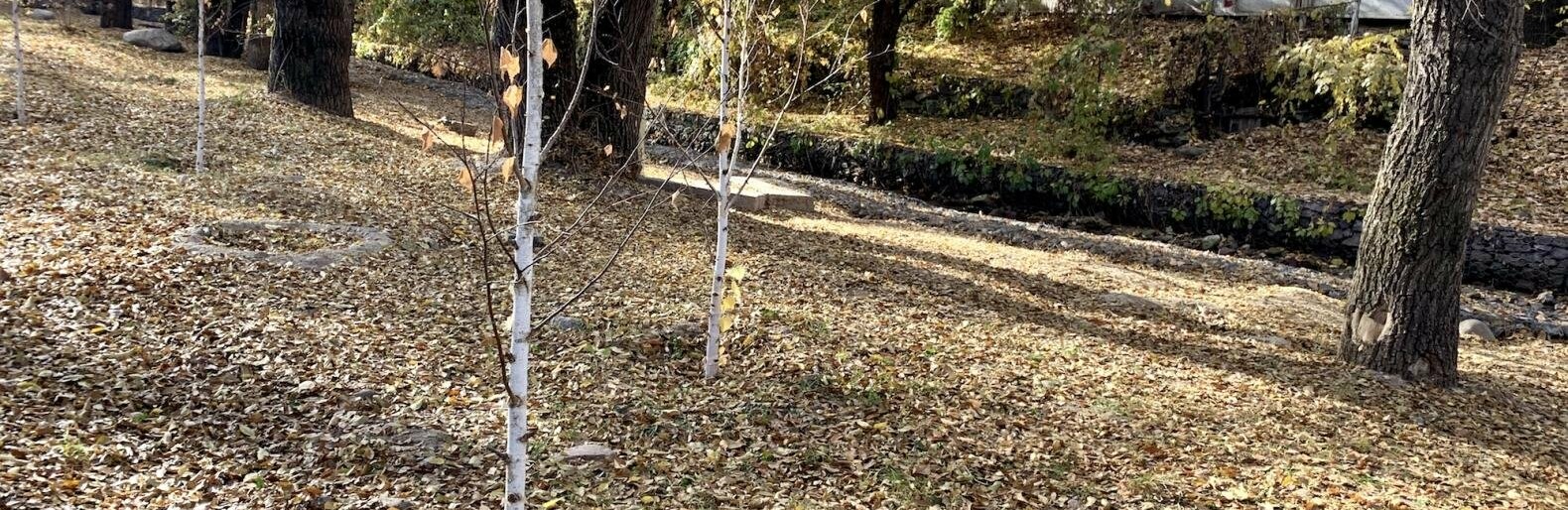 ����: inalmaty.kz