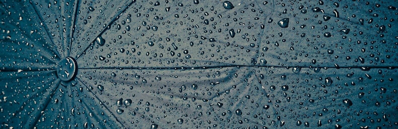 ����: inalmaty.kz