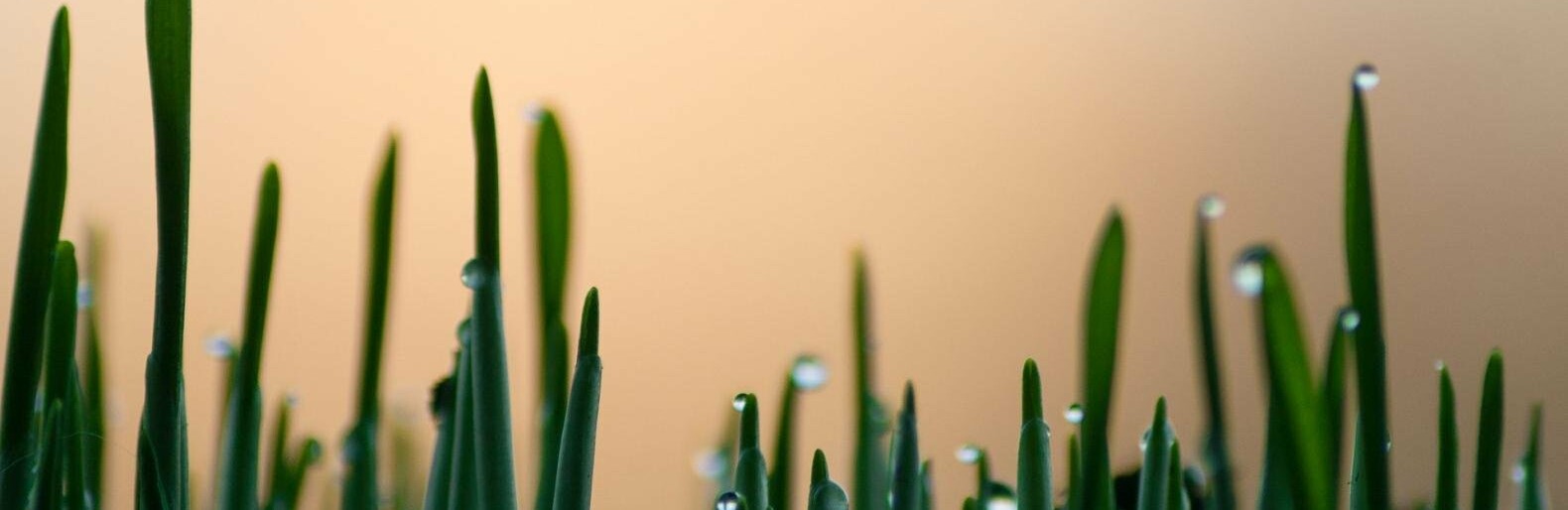 ����: inalmaty.kz