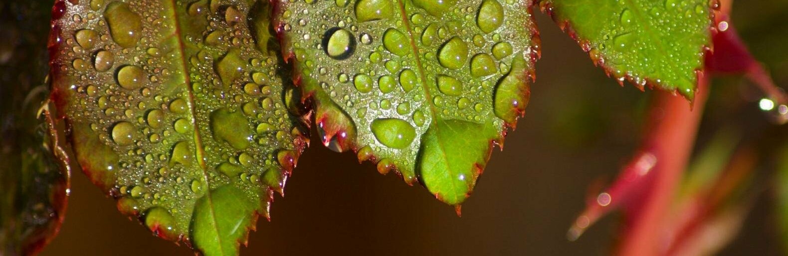 ����: inalmaty.kz