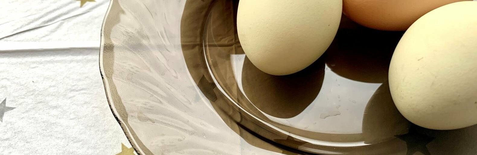  ���� �������� ��������� ���������� ���� ���� ����� �������� 