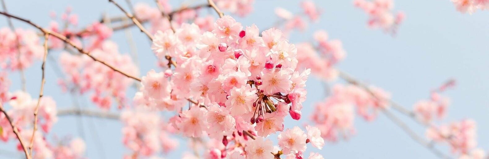 ����: inalmaty.kz