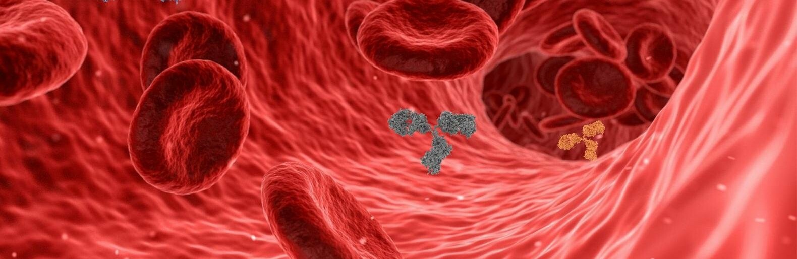 ����: inalmaty.kz