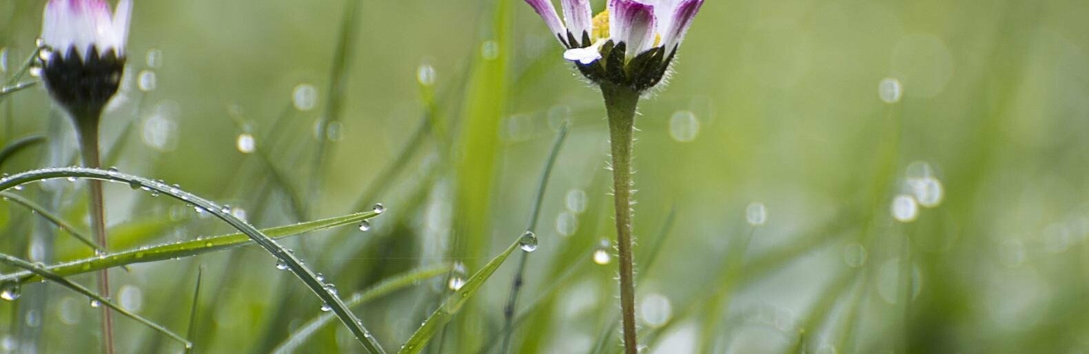 ����: inalmaty.kz