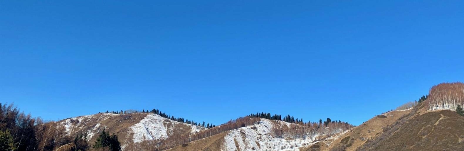 ����: inalmaty.kz