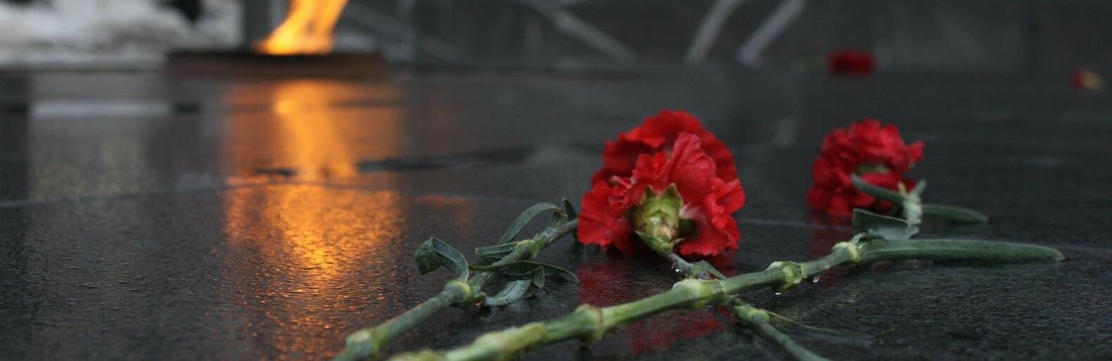  ���������� ������������ ������ ��������� ��� 