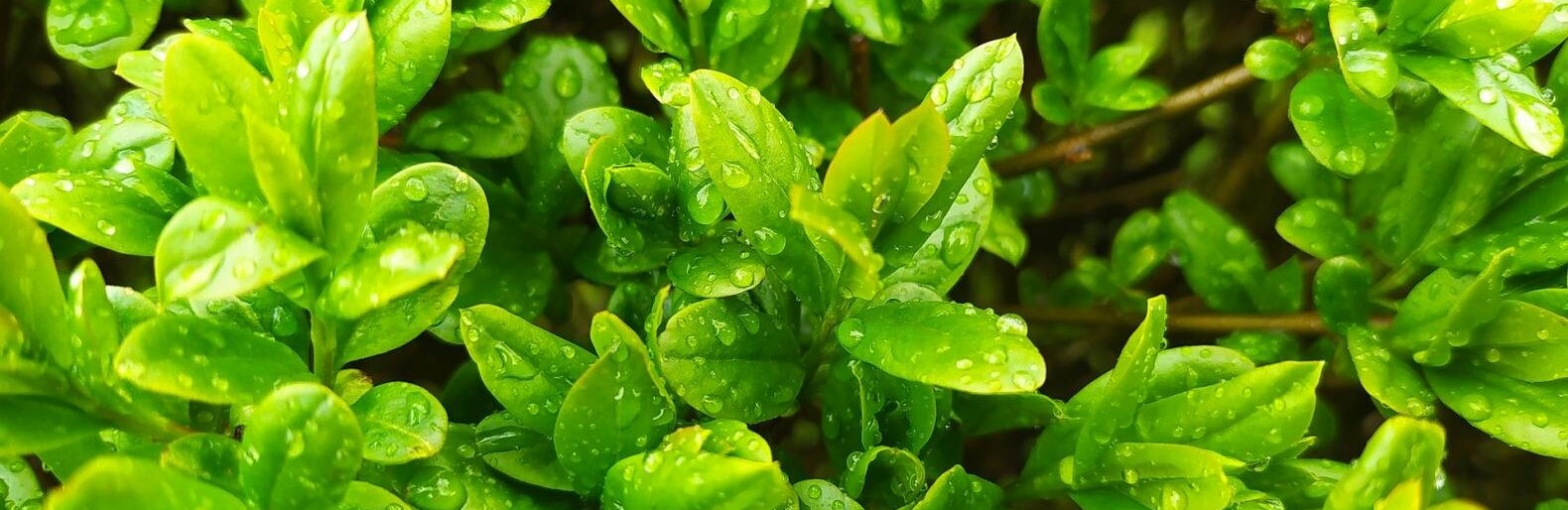 ����: inalmaty.kz