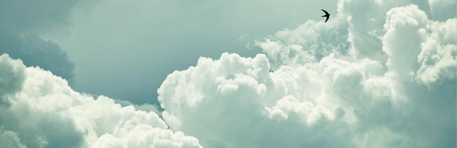 ����: inalmaty.kz