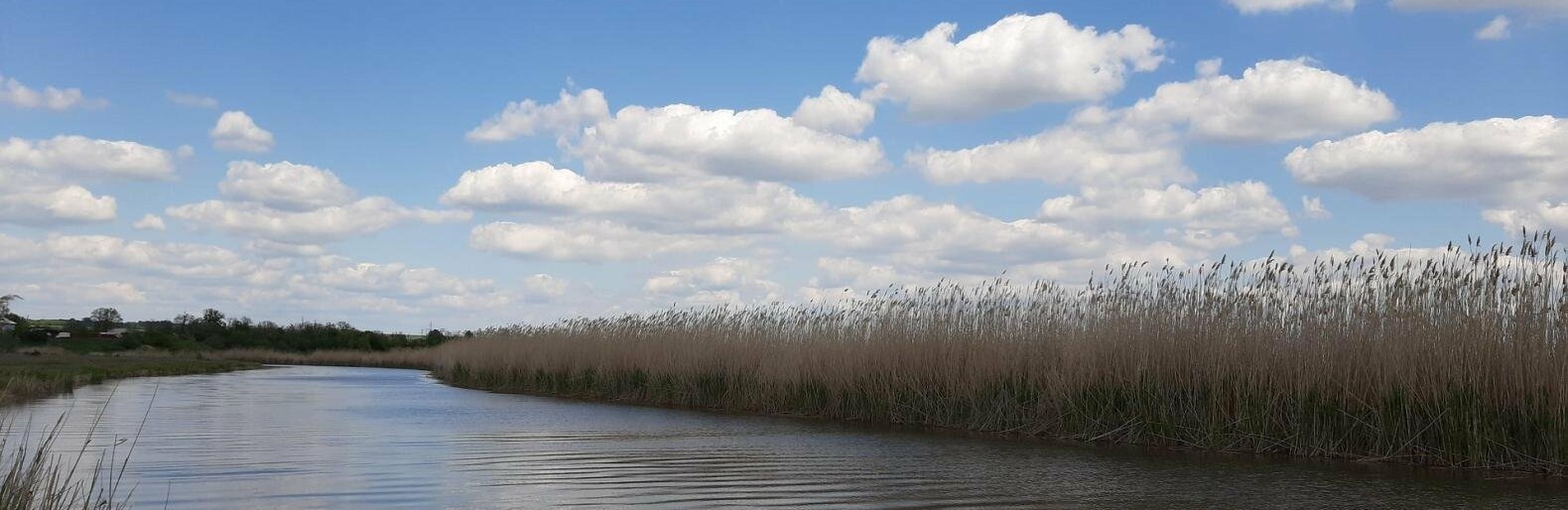 ����: inalmaty.kz