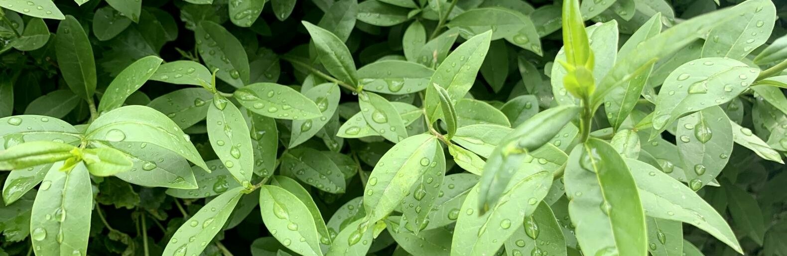 ����: inalmaty.kz