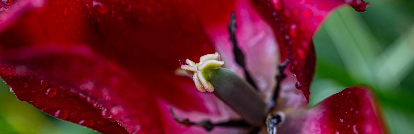 ����: inalmaty.kz