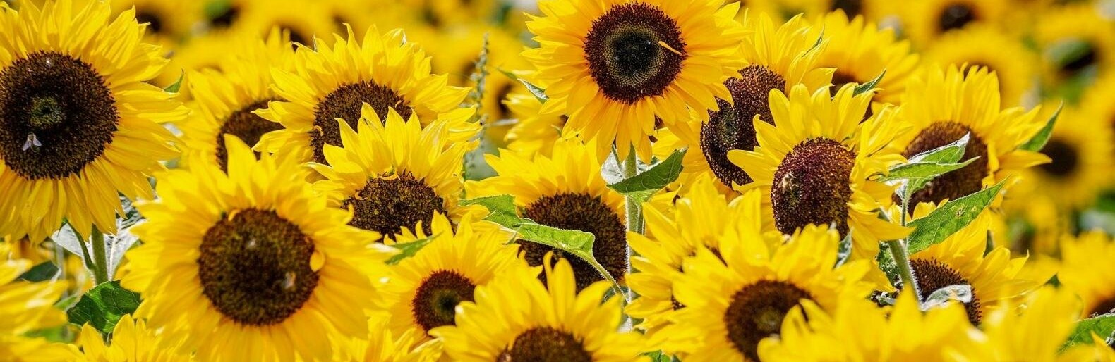 ����: inalmaty.kz