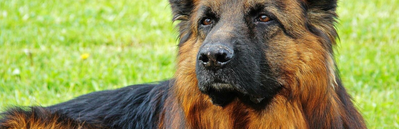  �������� ������� ������ ��������� ������� ���������� ������� ����� 