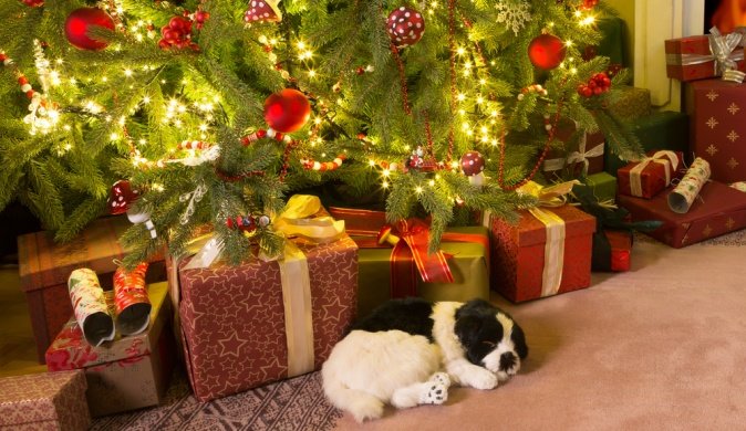 180042281252bd9aa04c8c43.88478227_articles_main_big