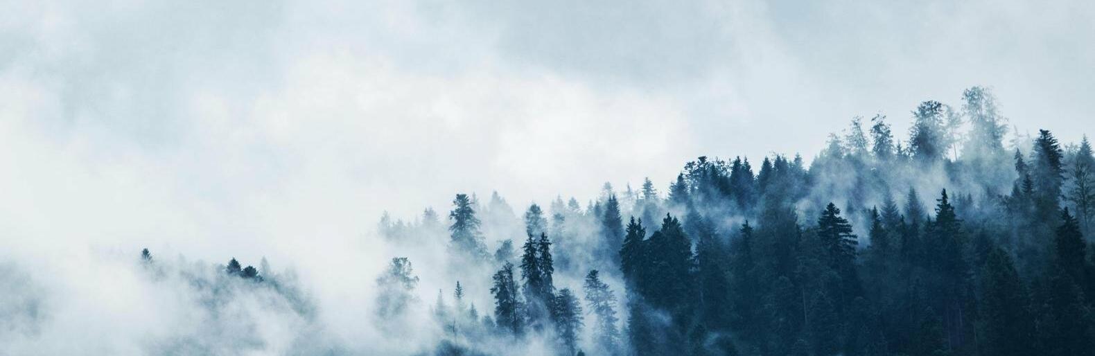 ДЧС Алматы предупредил о тумане и усилении ветра 5-7 января