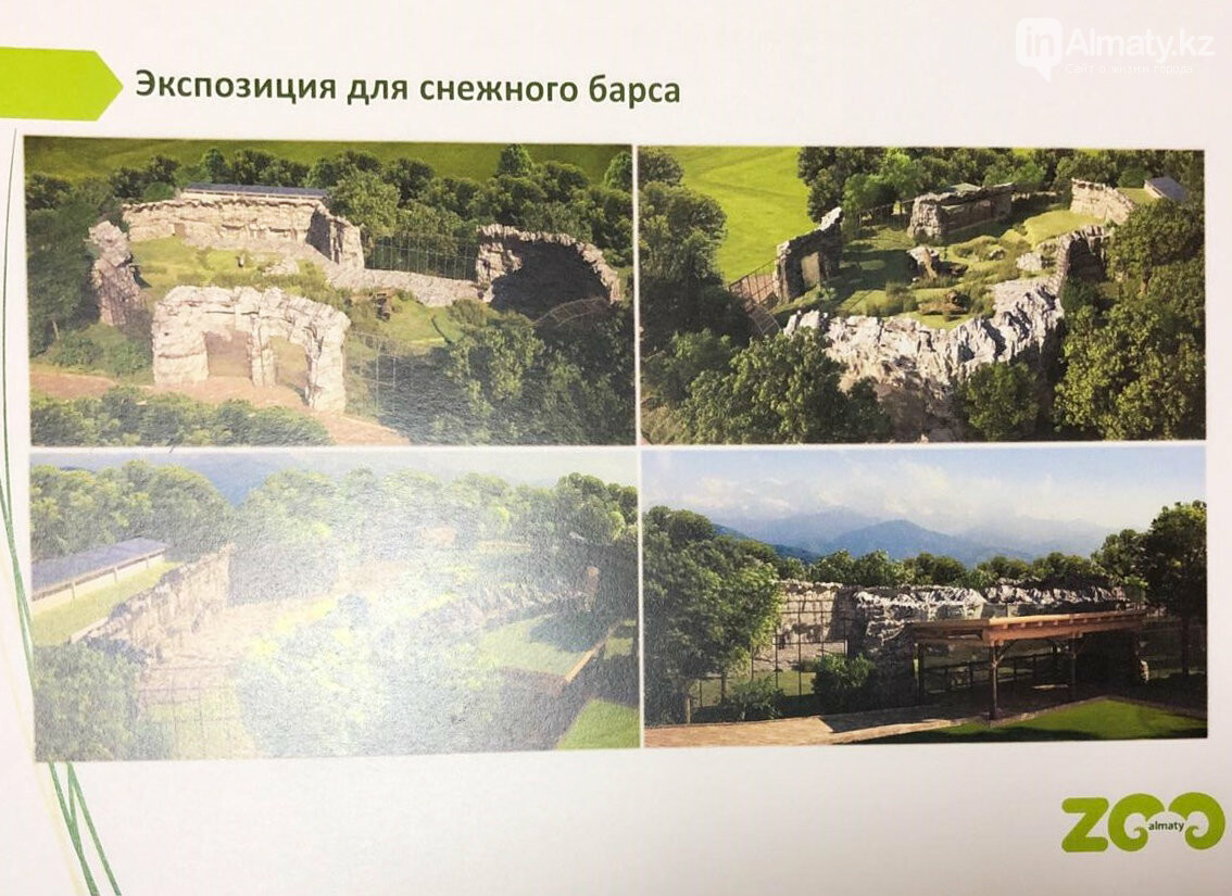 Экспозиция для барсов Экспозиция для барсов