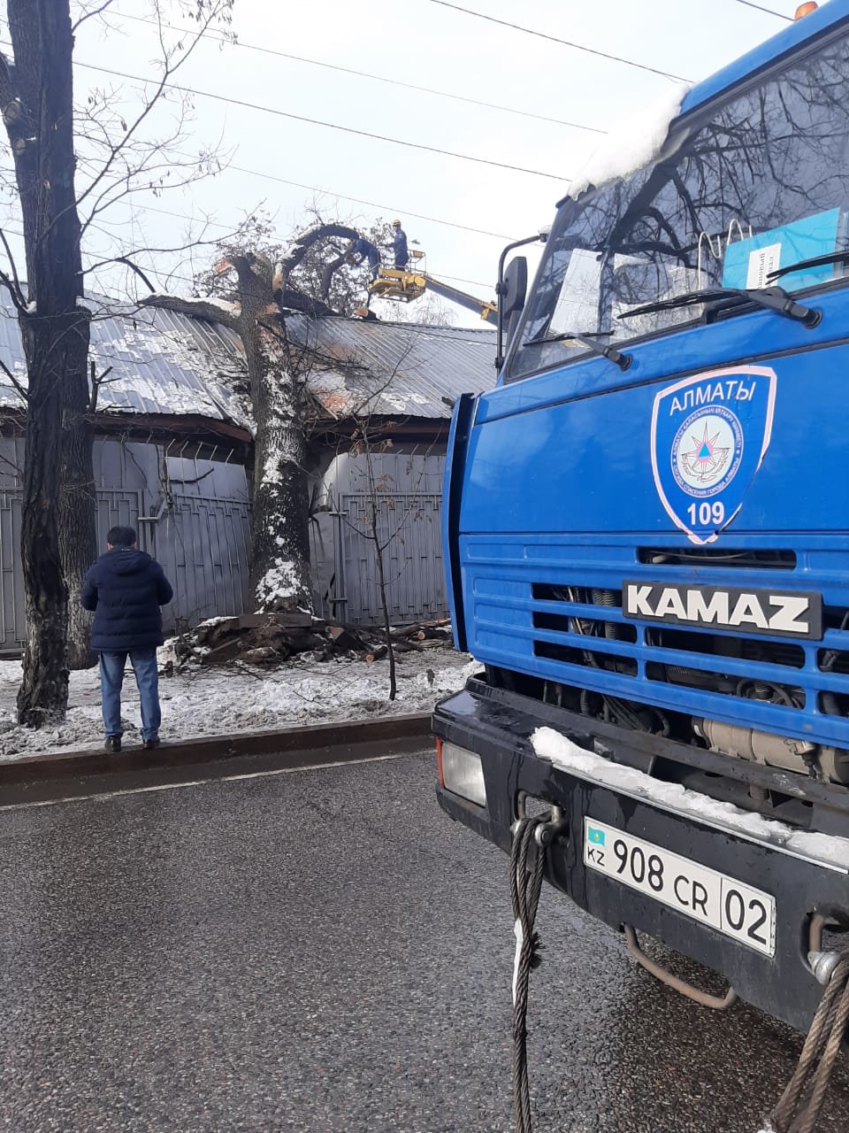 В Алматы из-за снега упало восемь аварийных деревеьв (фото), фото-6 В Алматы из-за снега упало восемь аварийных деревеьв (фото), фото-6