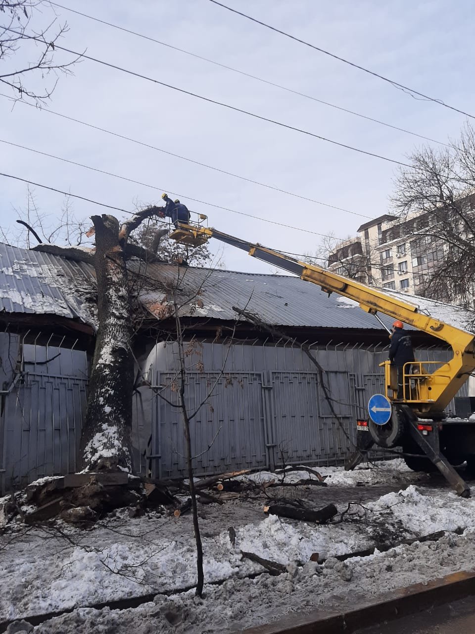 В Алматы из-за снега упало восемь аварийных деревеьв (фото), фото-7 В Алматы из-за снега упало восемь аварийных деревеьв (фото), фото-7