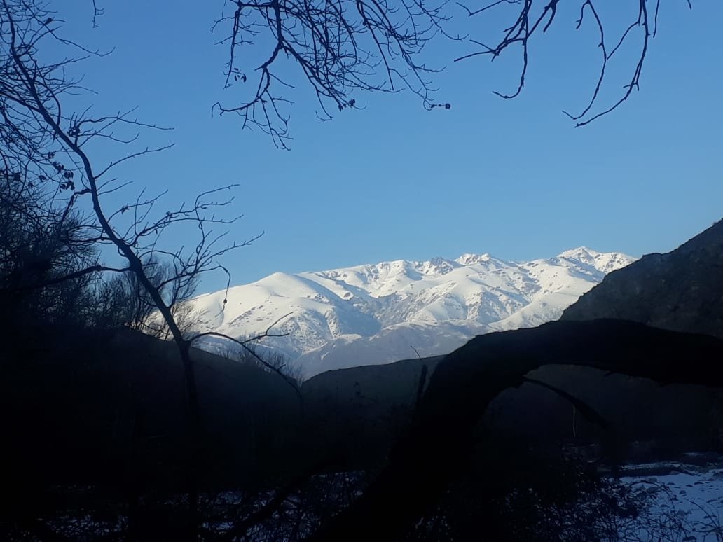 Отшельник 30 лет живет в горах Алматинской области без благ..., фото-5 Отшельник 30 лет живет в горах Алматинской области без благ цивилизации (фото), фото-5
