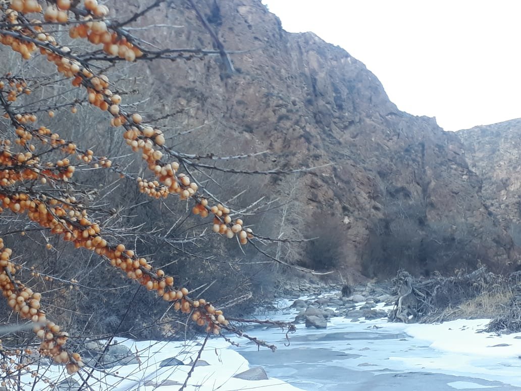 Отшельник 30 лет живет в горах Алматинской области без благ..., фото-6 Отшельник 30 лет живет в горах Алматинской области без благ цивилизации (фото), фото-6