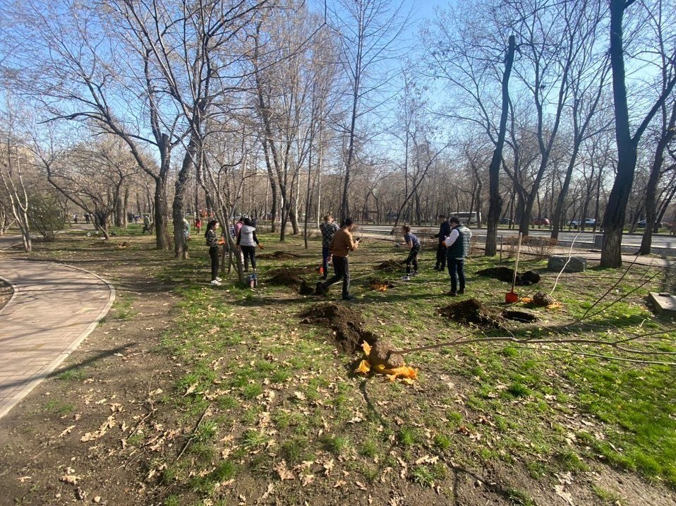Посадку деревьев организовали в двух скверах Алматы